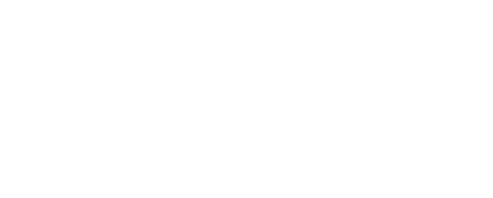 Carousel logo with the word Vision