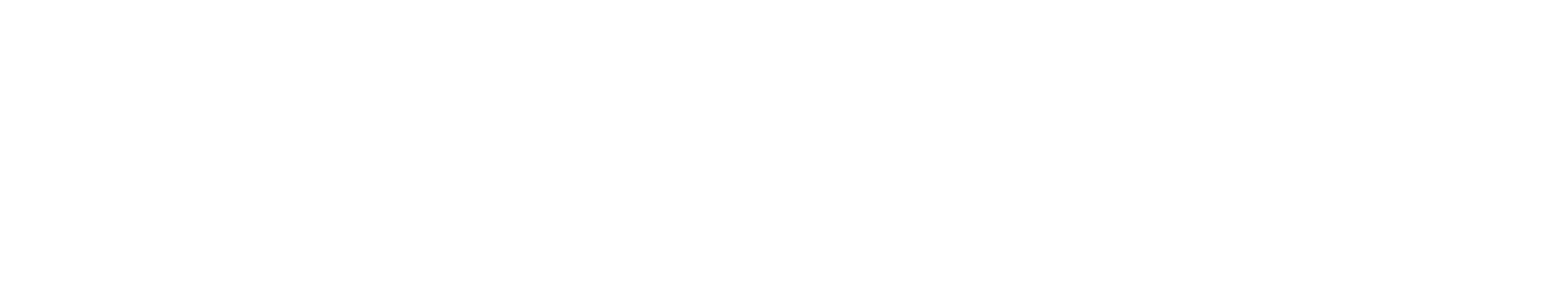RB Project Management logo in white on transparent background